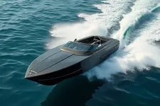Barracuda