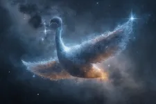 Cygnus