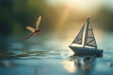 Libelle