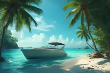 Palmera