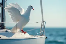 Paloma Blanca