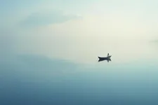 Ripple