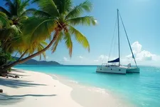 Tropical Paradise