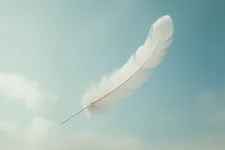 Volo Leggero