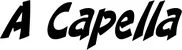 Produktbeispiel Schriftzug - A Capella
