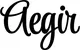 Produktbeispiel Schriftzug - Aegir