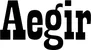 Produktbeispiel Schriftzug - Aegir