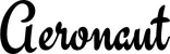 Produktbeispiel Schriftzug - Aeronaut