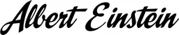 Produktbeispiel Schriftzug - Albert Einstein