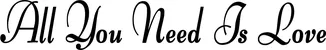 Produktbeispiel Schriftzug - All You Need Is Love