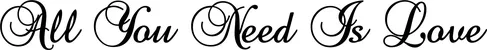 Produktbeispiel Schriftzug - All You Need Is Love