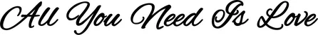 Produktbeispiel Schriftzug - All You Need Is Love