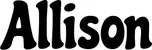 Produktbeispiel Schriftzug - Allison