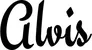 Produktbeispiel Schriftzug - Alvis