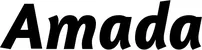 Produktbeispiel Schriftzug - Amada