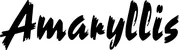 Produktbeispiel Schriftzug - Amaryllis