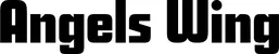 Produktbeispiel Schriftzug - Angels Wing