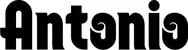 Produktbeispiel Schriftzug - Antonio