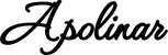 Produktbeispiel Schriftzug - Apolinar