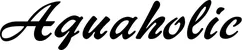 Produktbeispiel Schriftzug - Aquaholic