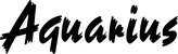 Produktbeispiel Schriftzug - Aquarius