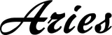 Produktbeispiel Schriftzug - Aries