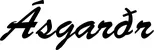 Produktbeispiel Schriftzug - Ásgarðr
