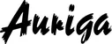 Produktbeispiel Schriftzug - Auriga