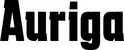 Produktbeispiel Schriftzug - Auriga