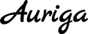 Produktbeispiel Schriftzug - Auriga