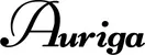 Produktbeispiel Schriftzug - Auriga