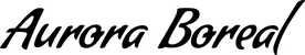 Produktbeispiel Schriftzug - Aurora Boreal