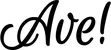 Produktbeispiel Schriftzug - Ave!