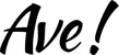 Produktbeispiel Schriftzug - Ave!