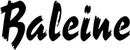 Produktbeispiel Schriftzug - Baleine