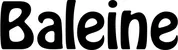 Produktbeispiel Schriftzug - Baleine