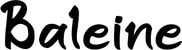 Produktbeispiel Schriftzug - Baleine
