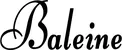 Produktbeispiel Schriftzug - Baleine