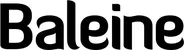 Produktbeispiel Schriftzug - Baleine