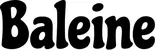 Produktbeispiel Schriftzug - Baleine