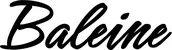 Produktbeispiel Schriftzug - Baleine