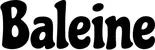 Produktbeispiel Schriftzug - Baleine