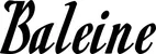 Produktbeispiel Schriftzug - Baleine