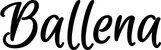 Produktbeispiel Schriftzug - Ballena