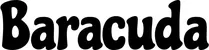 Produktbeispiel Schriftzug - Barracuda