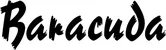 Produktbeispiel Schriftzug - Barracuda