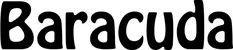 Produktbeispiel Schriftzug - Barracuda