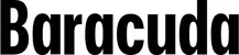 Produktbeispiel Schriftzug - Barracuda