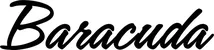 Produktbeispiel Schriftzug - Barracuda