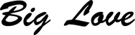 Produktbeispiel Schriftzug - Big Love